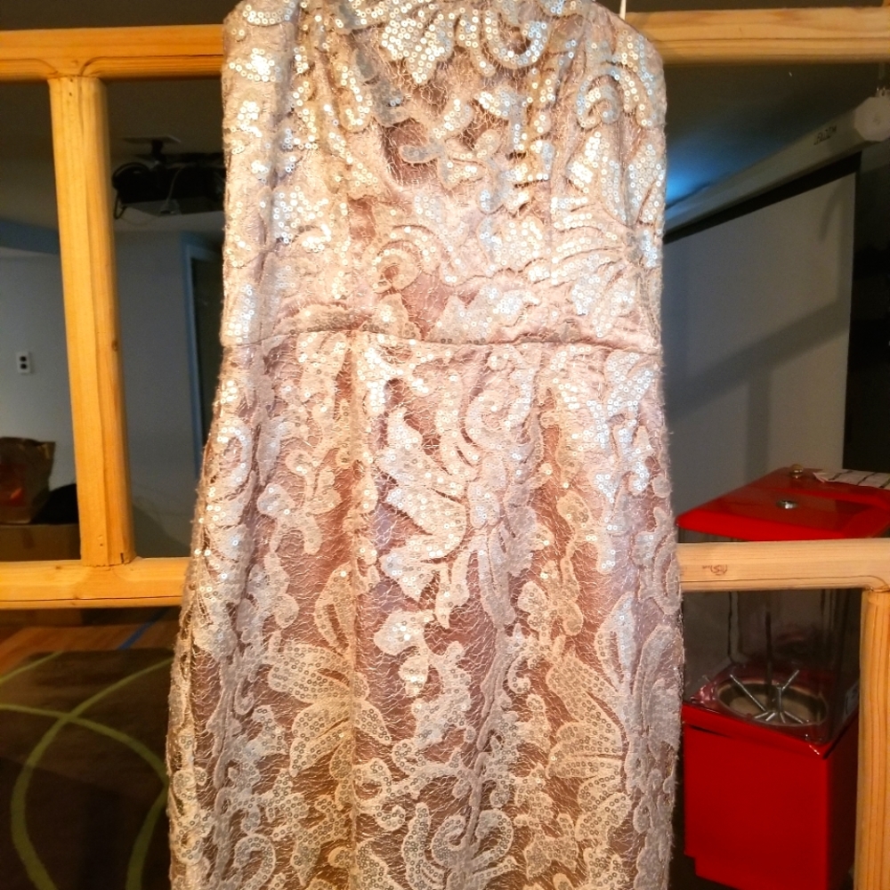 Strapless dress wore once